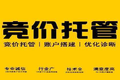 成功案例揭秘：如何利用信息流广告实现高效转化